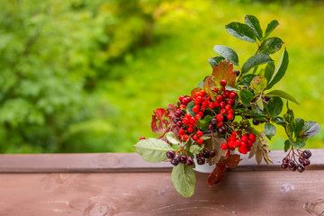 Bright composition of red berries, Rowan, cones and acorns on rustic wooden table on green nature background in autumn. closup. Bright Fall branch of red viburnum with red leaves.Copy space