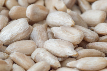 Close-up for peeled Sunflower seeds.