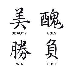 Chinese symbols beauty ugly win lose vector set