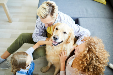 Overview of young golden labrador surrounded by young man, woman and their little daughter playing...