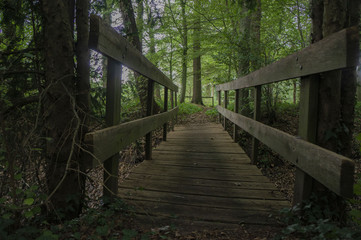 Fototapeta premium Wooden bridge in forest