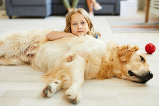 Adorale girl lying on the floor on restful golden labrador and looking at you