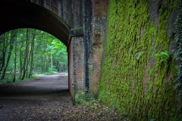 Abandoned railway tunnel 