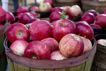 Farmers Market Fruits and Vegetables