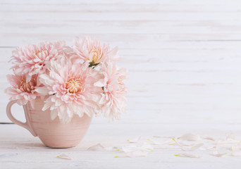 Obraz na płótnie Canvas chrysanthemum in pink cup on white wooden background
