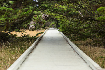 Empty wooden boardwalk leading to the beach