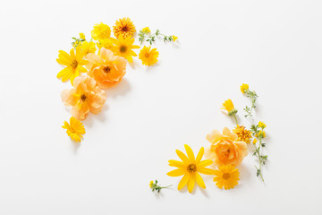 yellow  flowers on white background