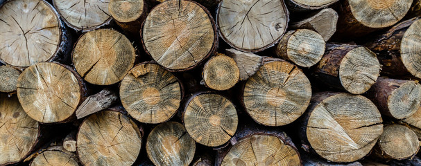 Chopped wood straightened in row. Wooden logs for heating. Wall made of cut logs. Fuel for fireplace and stove. Natural wooden texture. Stock of logs for winter heating. Rustic rural scene.