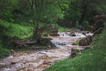 The stream among stones, lush shrubs and green grass in the spring