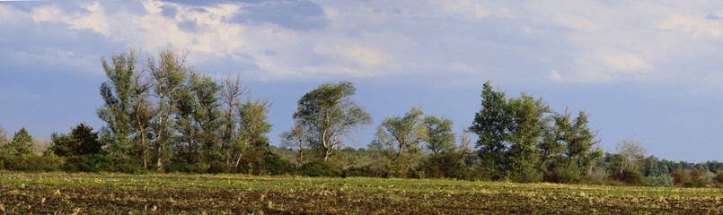 Landscape. After a thunderstorm sky is brightening, the weather is improving. Clouds white, the sky blue, a strip of trees on the horizon