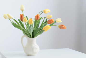 yellow tulips on white background