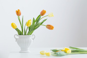 yellow tulips on white background