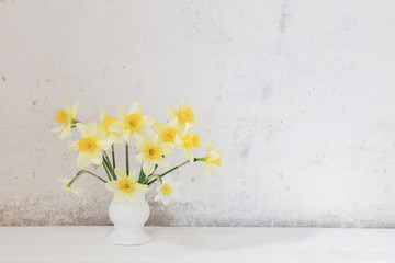 yellow narcissus on white background