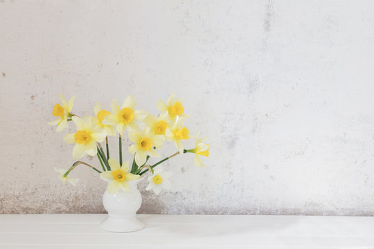 yellow narcissus on white background
