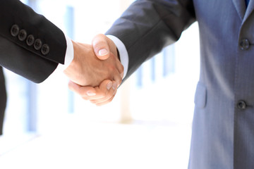 Business people shaking hands as a sign of agreement. Success concept
