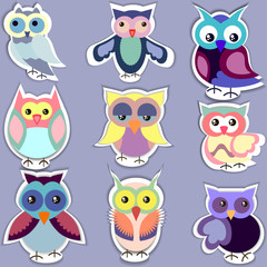 Fototapeta premium Set of separated cute owl stickers,decorative elements for sticker,buttons