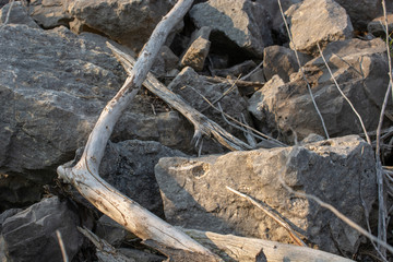 Drift Wood and Large Rocks During Sunset
