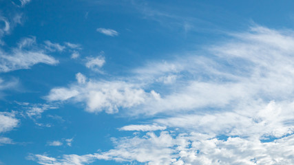 Fototapeta premium 青空・雲