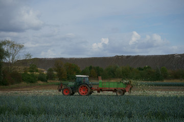 Fototapeta premium Traktor mit Häksler auf dem Feld