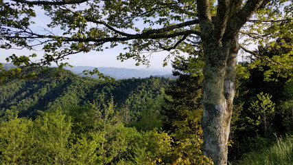 Green Mountain Hills