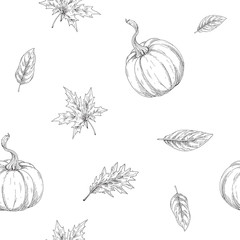Seamless autumn theme pattern. Pumpkins and leaves in the contour. Autumn harvest collection illustration.