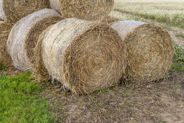 Straw in bales at an asphalt road in the countryside. Stacks of round bundles on the field.