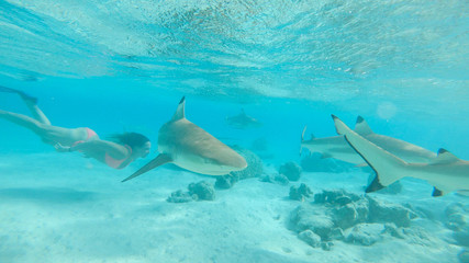 UNDERWATER: Fearless young female swims in the exotic sea with blacktip sharks.