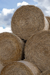 Straw in bales at an asphalt road in the countryside. Stacks of round bundles on the field.