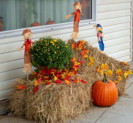 the halloween pumpkin