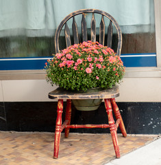 a chair and flowers outdoors