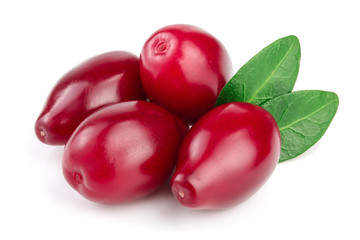 Red berries of cornel or dogwood with leaf isolated on white background