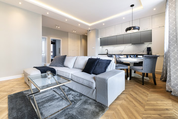 Modern living-room and kitchen