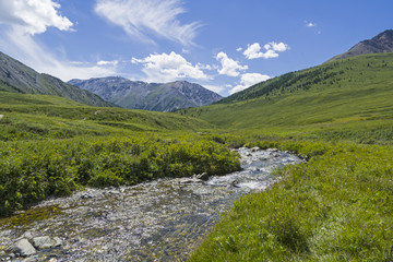 Fototapeta na wymiar Upper reaches of a mountain river. Altai Mountains, Siberia, Russia.