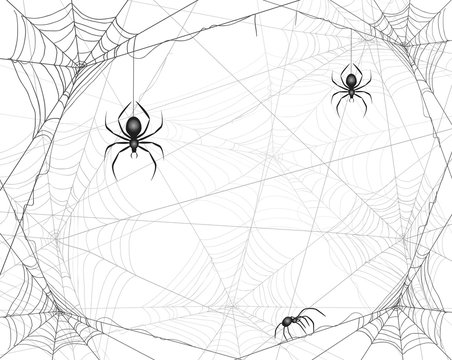 Halloween background with spiders and cobwebs