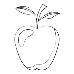 apple fresh fruit healthy