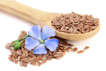 flax seeds in wooden spoon with flower isolated on white background