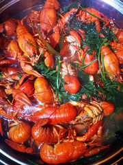 crayfish are cooked in a pot with dill