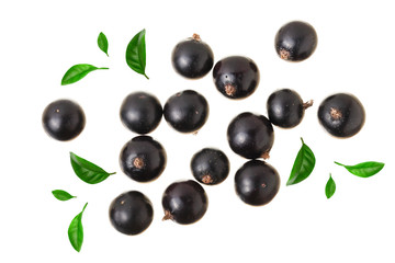 black currant isolated on white background. Top view. Flat lay pattern