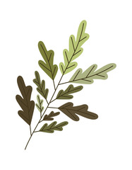 branch with leafs ecology icon