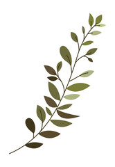 branch with leafs ecology icon