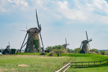 Afternoon view of the famous Kinderdijk winmill village