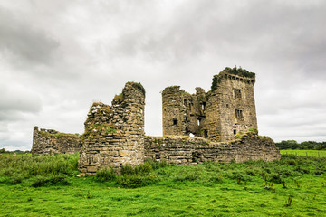 Fototapeta na wymiar Castle in a Green Field 2