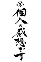 筆文字　※個人の感想です
