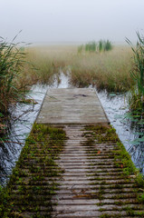 Floating dock leading into a marsh on a foggy morning
