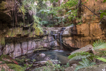 The waterfall from the spring in the Moss Garden, Carnarvon Gorge, Queensland, Australia.