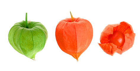 physalis isolated on white background. Top view. Flat lay pattern. Set or collection