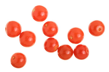 physalis berry isolated on white background. Top view. Flat lay pattern