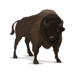 Big cartoon bison wild animal © Vector Tradition