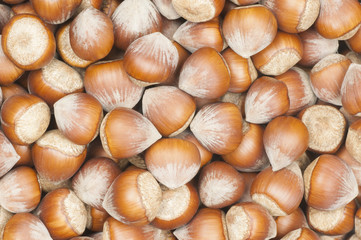   Hazelnuts. heap or stack of hazelnuts. Hazelnut background, healty food