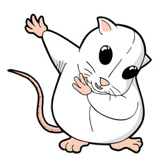 funny white laboratory rat